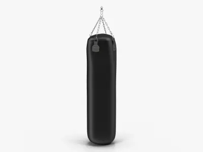 Punching Bag Black Generic Low-poly 3D model