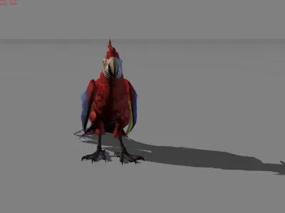 Parrot Red Bird Animal Low-poly 3D model