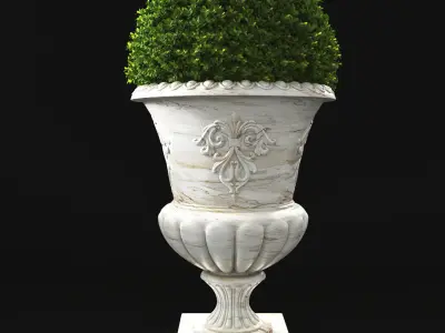 Plant Collection 05 3D model