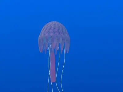 JellyFish Low-poly 3D model