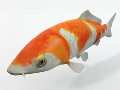 Koi fish Low-poly 3D model