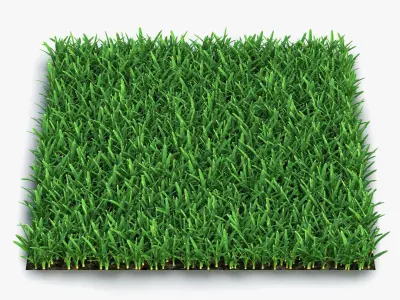  Grass Fields Collection 