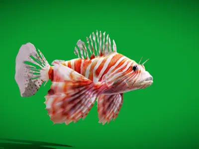 Lionfish Low-poly 3D model order