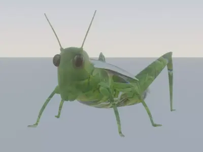 grasshopper Low-poly 3D model buy
