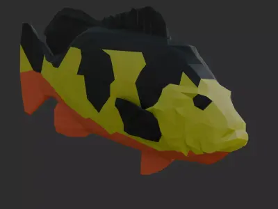 Low Poly Peacock Bass Low-poly 3D model
