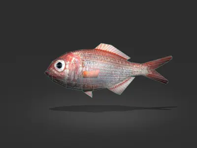 Lutjanus Vivanus Low-poly 3D model