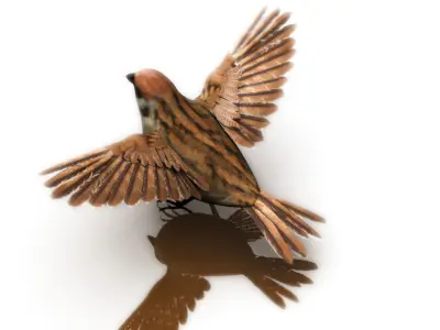 sparrow bird 3d model 3D model