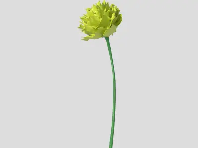 Flower Free 3D model