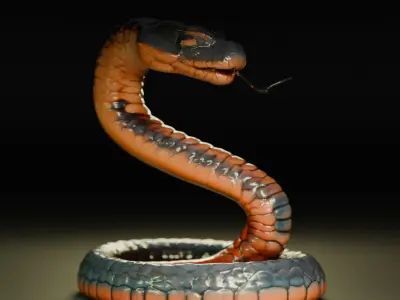 red snake 3D print model