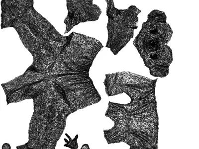 Basics0787 - A set containing 5 models of male and female 3D model