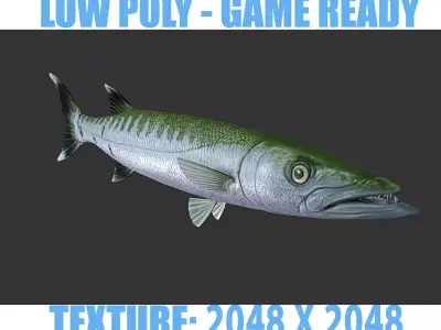 Barracuda mackerel fish Low-poly 3D model