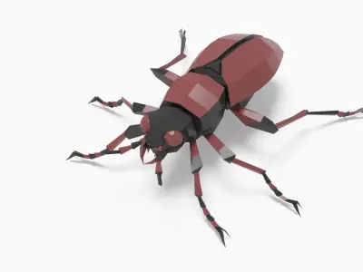 Bug low poly beetle Low-poly 3D model purchase