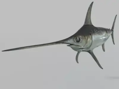 Swordfish marlin Low-poly 3D model purchase