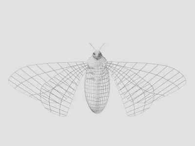 butterfly moth 3D model