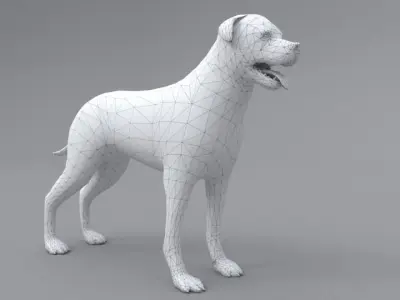 Rottweiler dog Low-poly 3D model