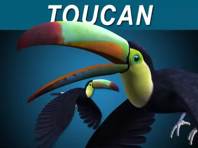 Toucan B - Flight 3D model