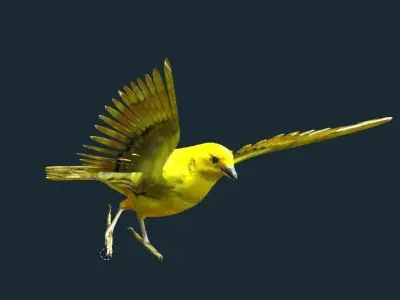 yellow bird animated Low-poly 3D model
