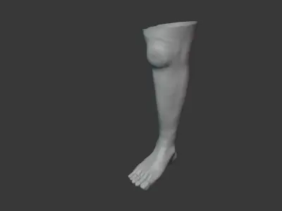Leg Model No Textures 3D model purchase