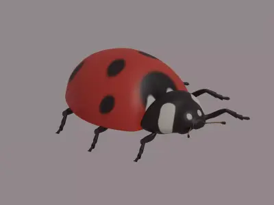 Ladybug 3D model order