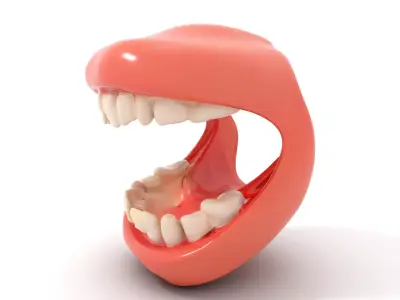Realistic Teeth and Gums model pack Low-poly 3D model