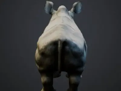 Rhino 3D model get