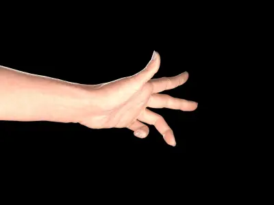 Female Hand Rigged 3D model