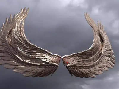 Phoenix Dragon wings 3  3D model