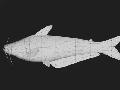 Catfish Low-poly 3D model 6