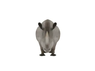 Rhino 3D Model Rigged and Animated Low-poly 3D model
