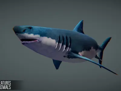 Sea Creatures Low-poly 3D model