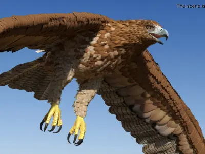 Realistic Gurney Eagle Rigged 3D model