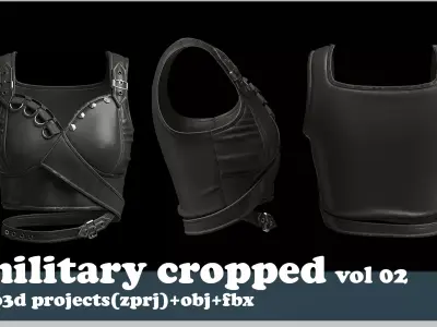 military cropped 3D model