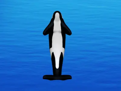 Orca Whale 3D model