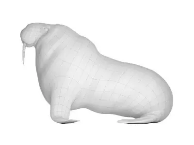 Walrus Base Mesh Low-poly 3D model purchase
