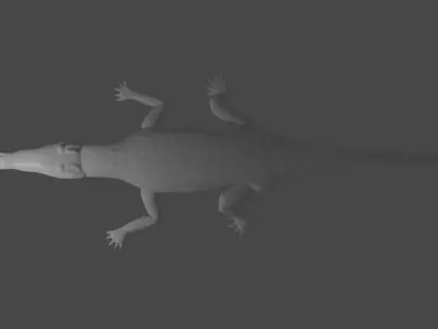 crocodile 3D model order