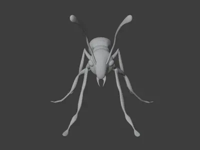 Ant Red 3D model
