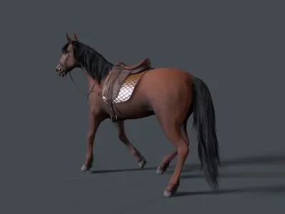 horse Low-poly 3D model 16