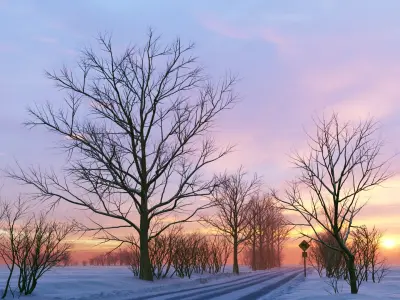  Winter Scene 