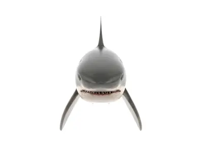 Great White Shark 3D model 4
