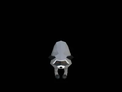 Raccoon Low-poly 3D model