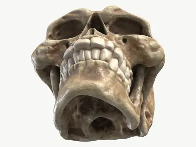 Funny Skull 1 3D model