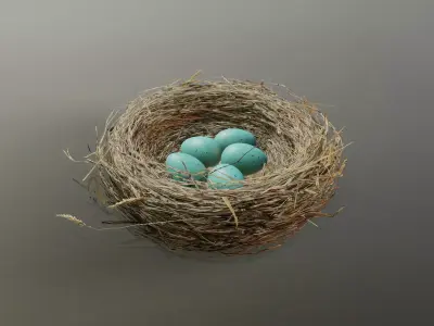 Bird Nest 3D model 3