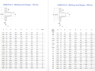 ASME B16-5 Welding Neck Flanges - 150Lbs and 300Lbs - CAD Files 3D model