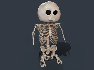 Penguin Skull Low-poly 3D model purchase