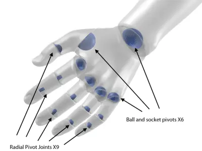 Solidworks Hands Poseable 3D model