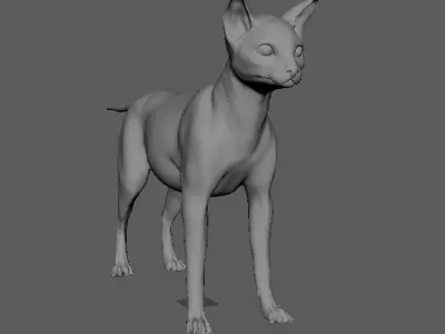 Base Mesh Cat 3D model purchase
