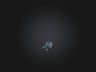 Realistic Wounded Shark Model Low-poly 3D model