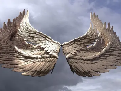 Phoenix  wings 3D model