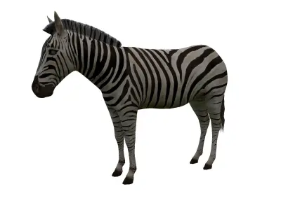 Zebra Low Poly For Games and VR Low-poly 3D model