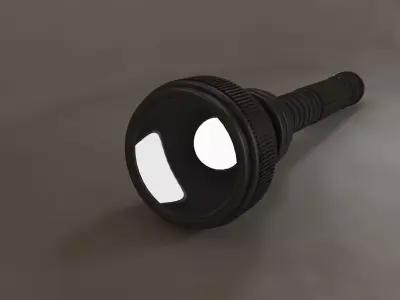 The Flashlight 3D model